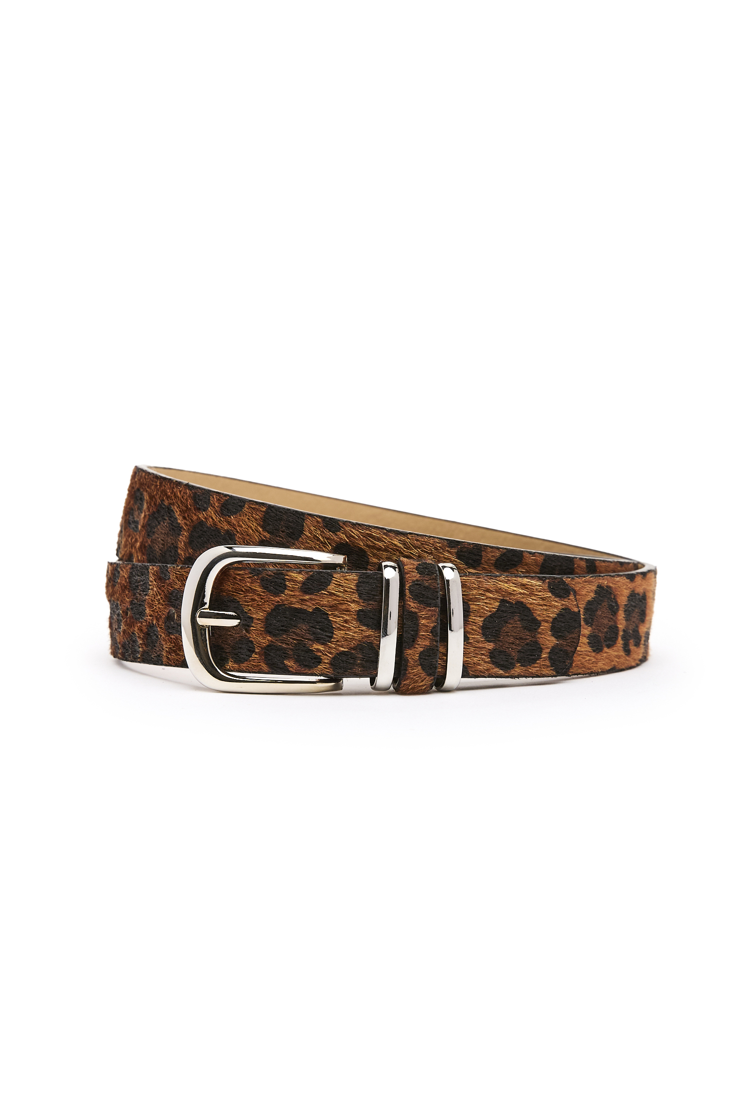 Dark Brown Cheetah Belt in Dark Brown | DAILYLOOK display picture 3