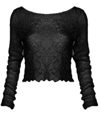 Full Lace Long Sleeve Crop Top