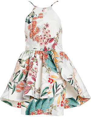 Cameo Winter Wind Floral Dress