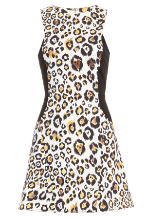 Line & Dot Leopard Contrast Insert Dress