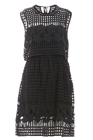 Saylor Lola Embroidered Lace Dress