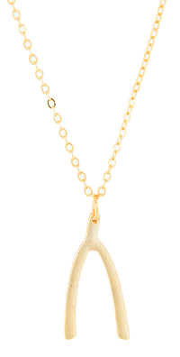Delicate Wishbone Necklace