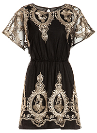Metallic Embroidered Fit and Flare Dress