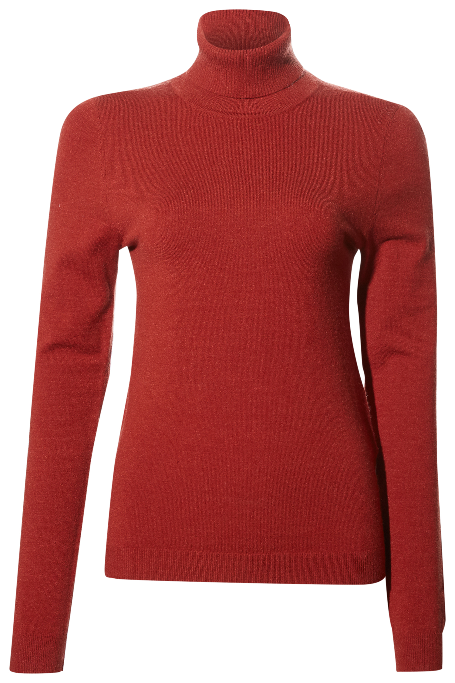 Turtle Neck Long Sleeve Top