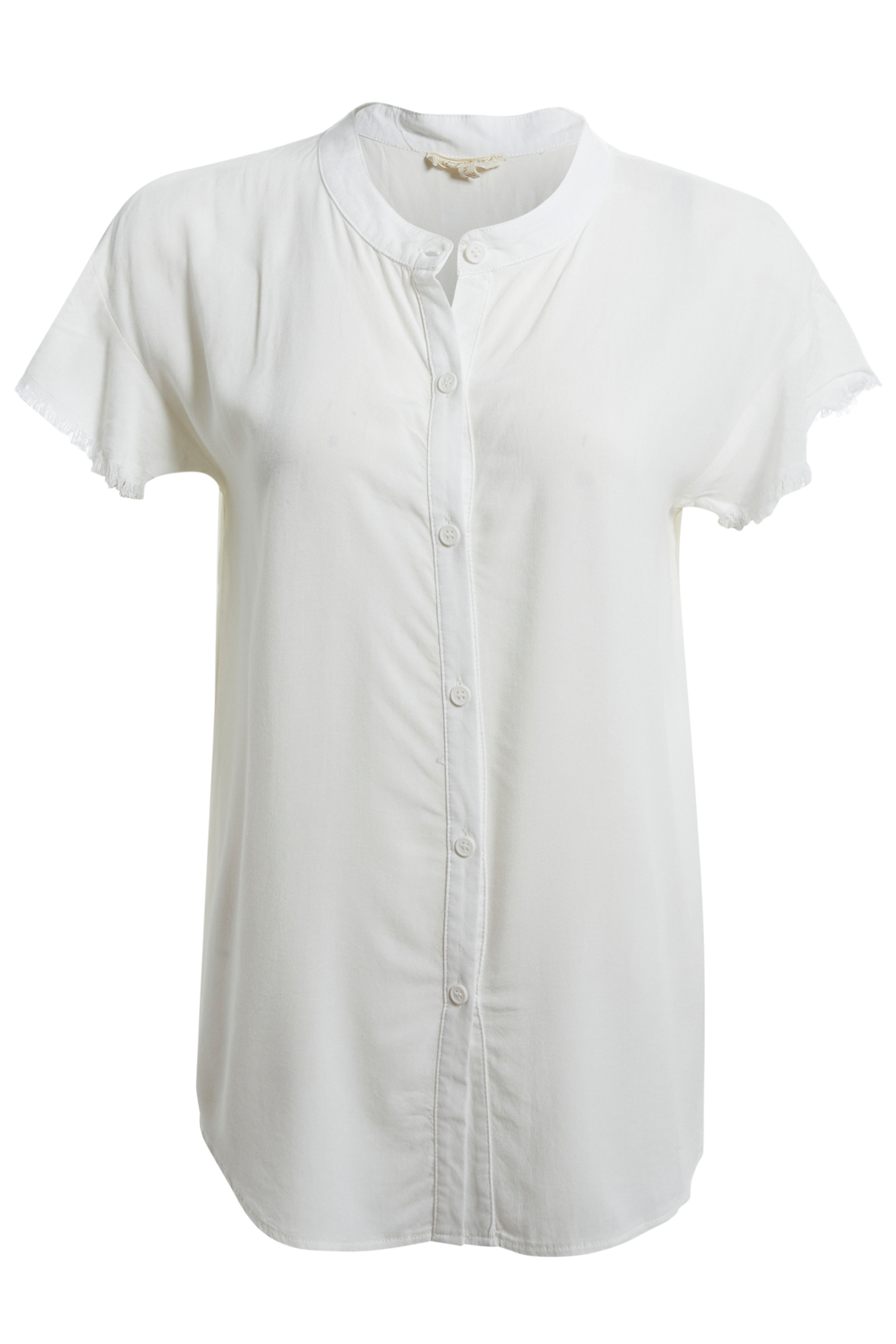 Frayed Short Sleeve Top