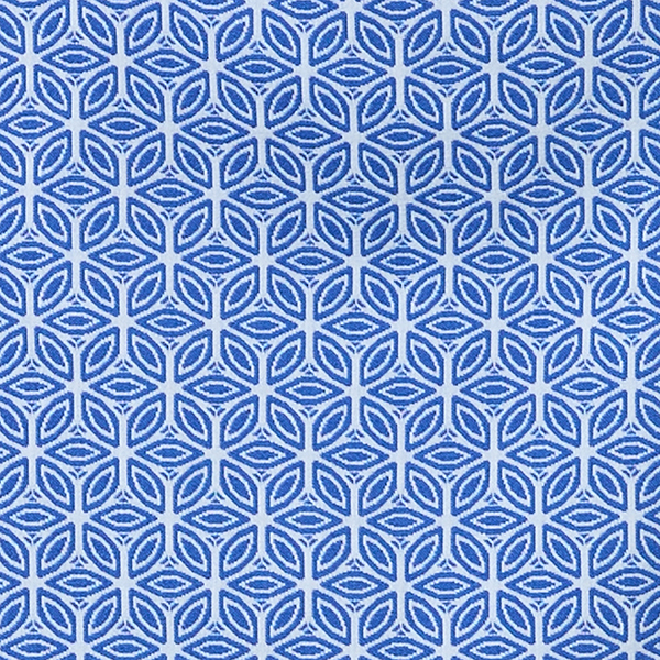 Blue/White