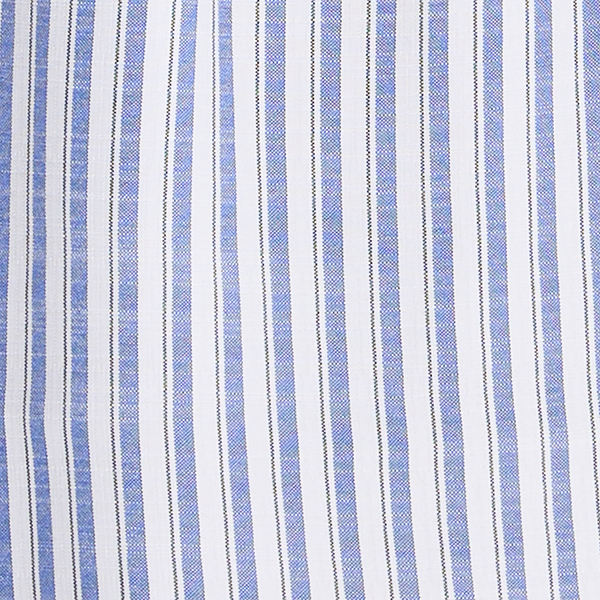 Blue/White