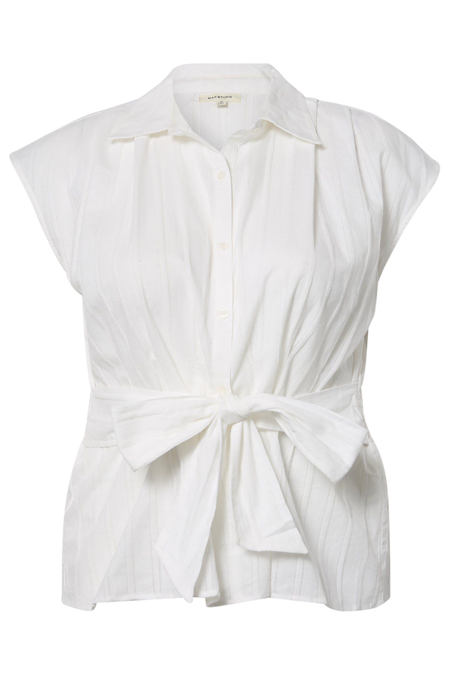 Button Down Shirt