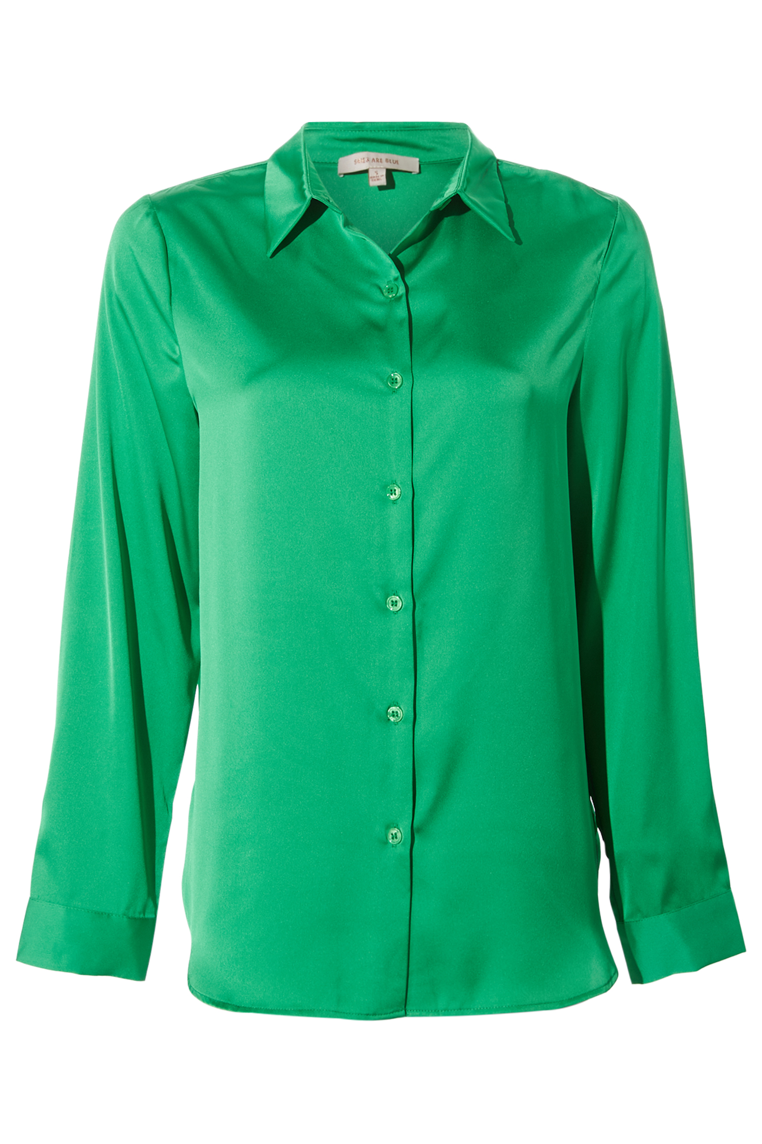 Button Down Shirt