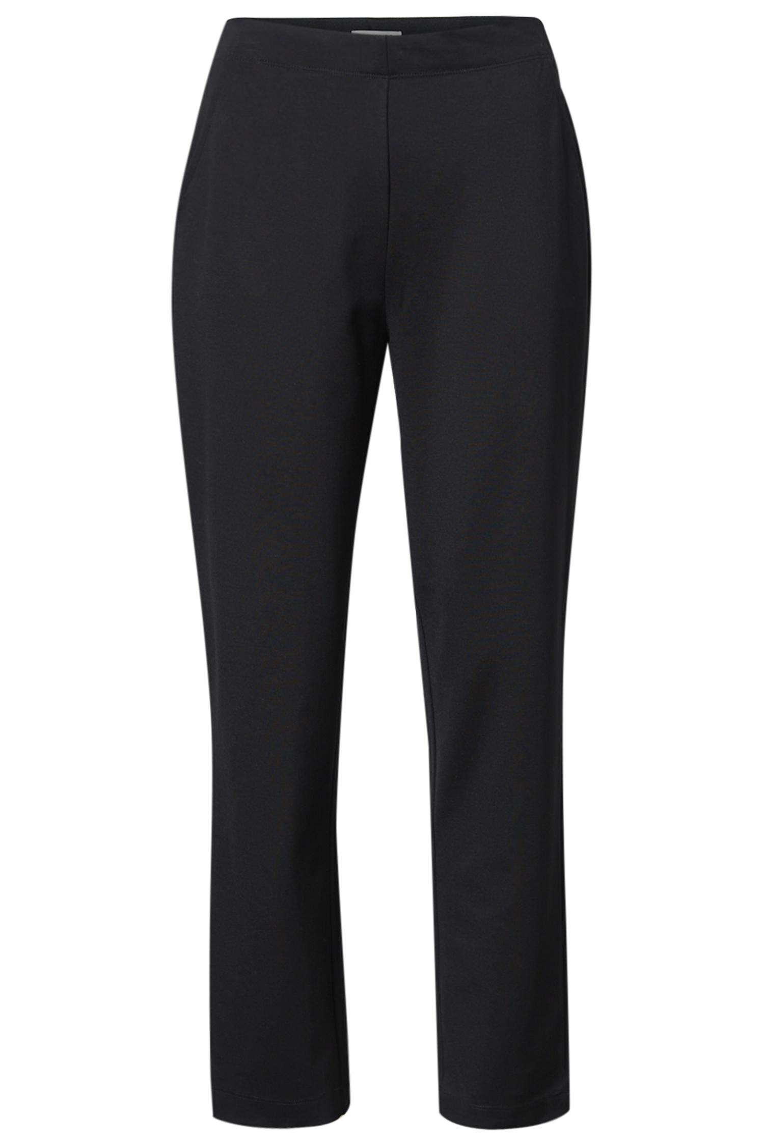 Pull On Ponte Pant