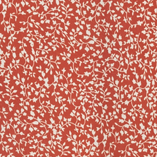 Orange Multi