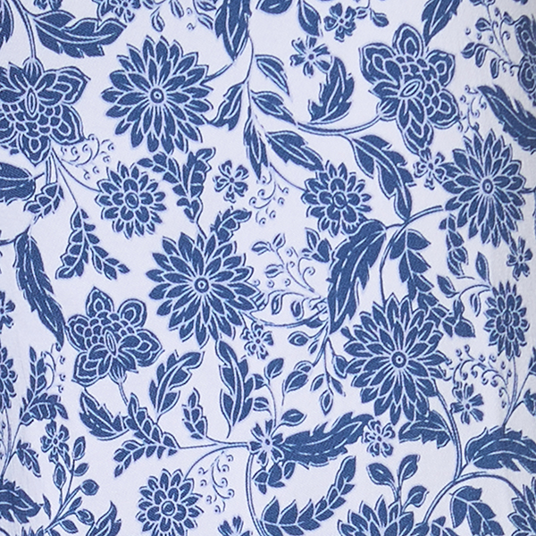 Blue/White