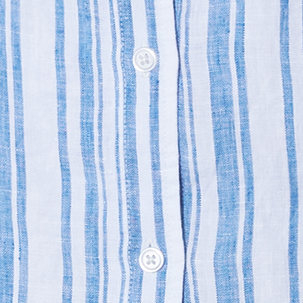 Blue/White