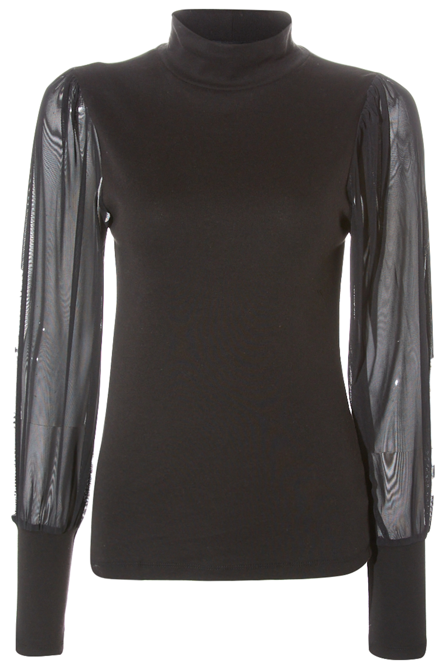 Sanctuary Mesh Sleeve Top