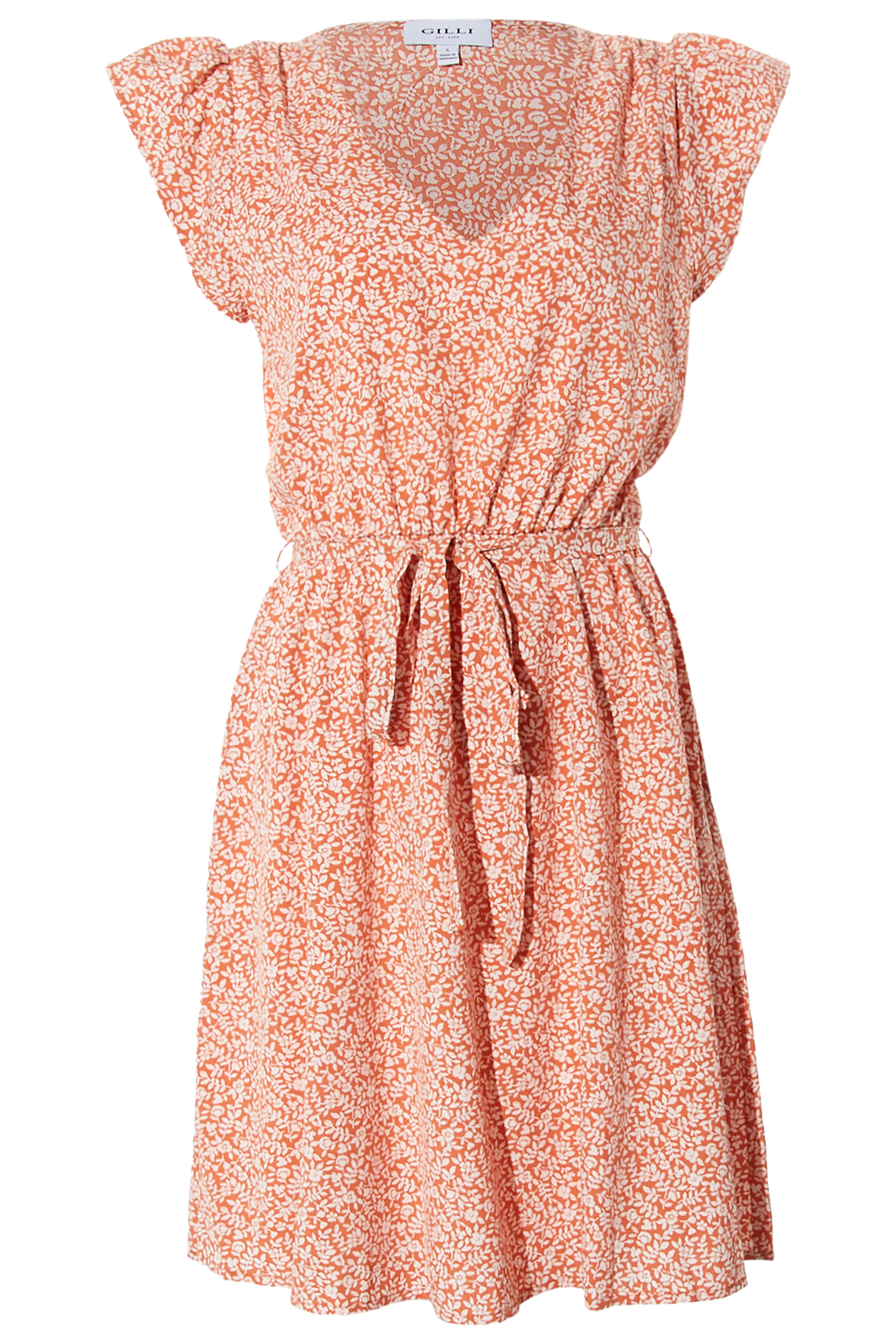 Ruffle Sleeve Mini Dress