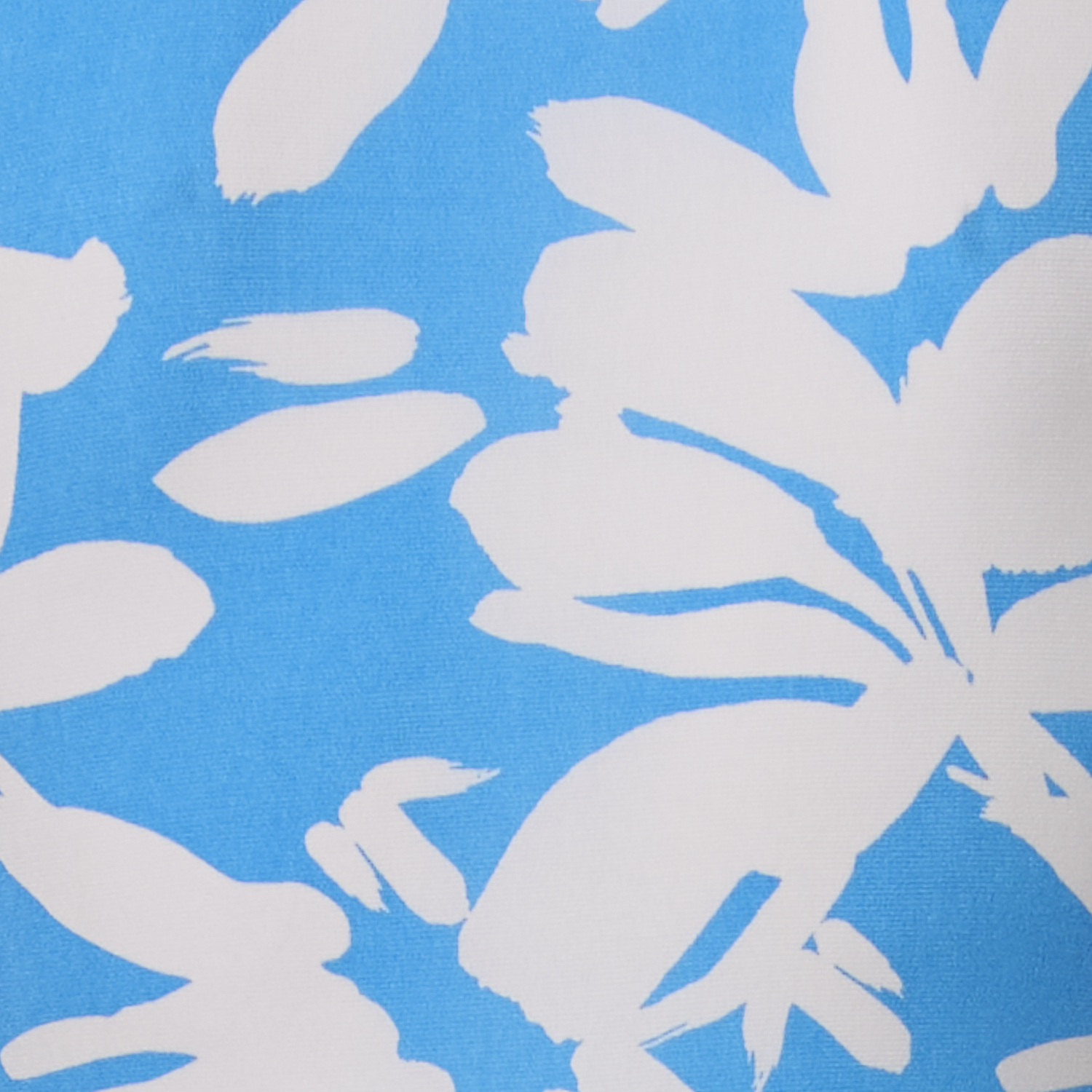 Blue/White