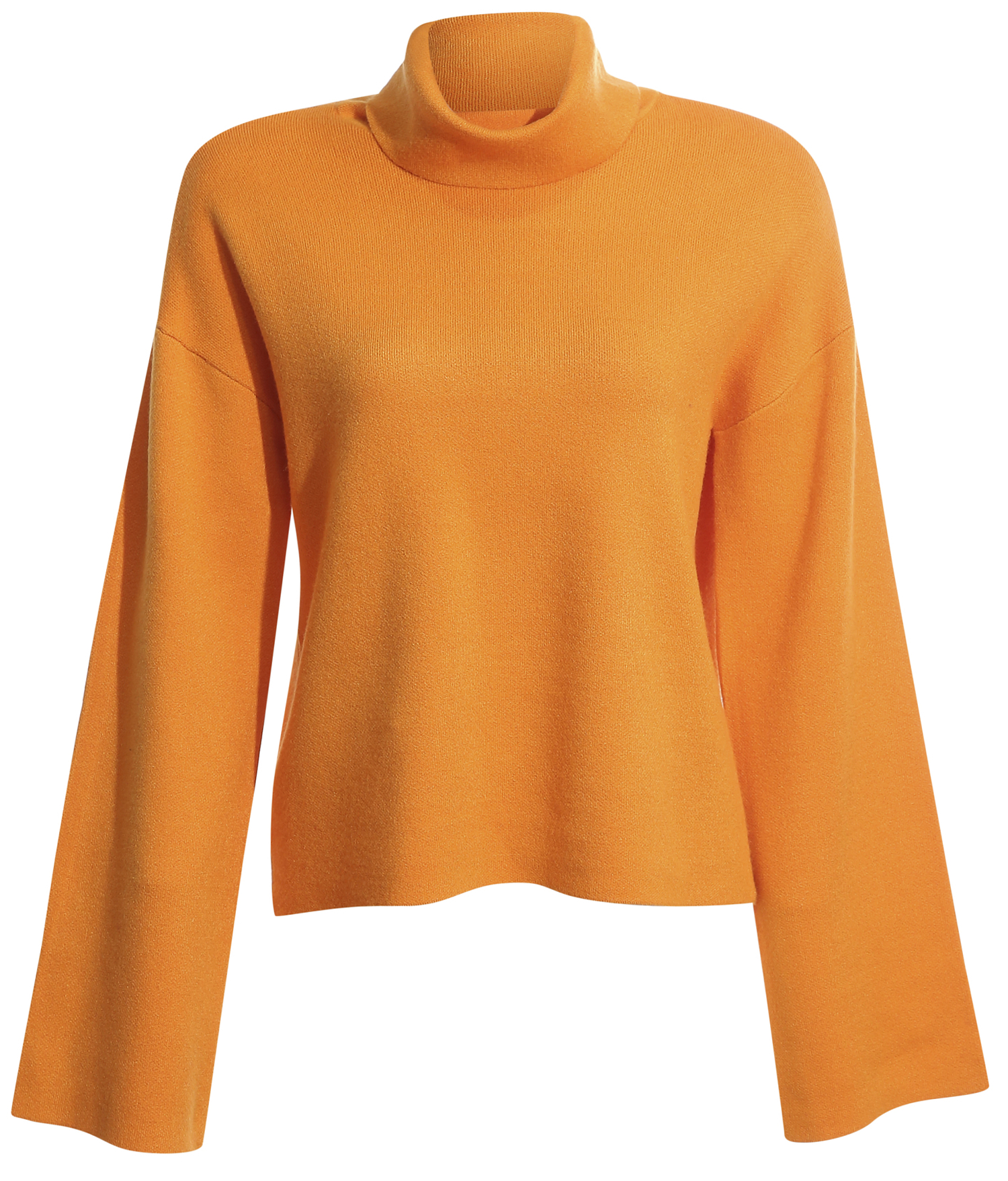 Roll Neck Bell Sleeve Sweater