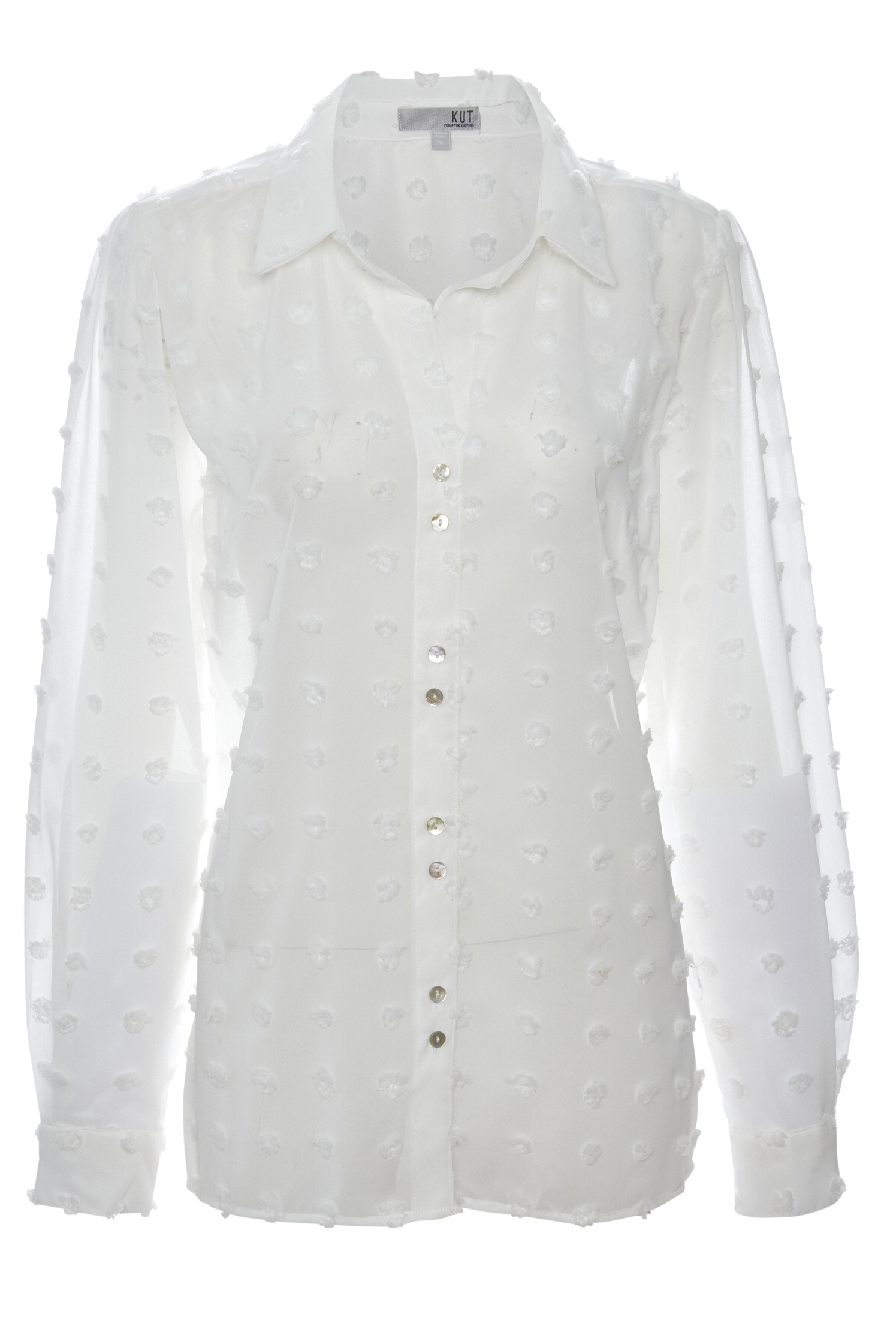 Kut from the Kloth Sheer Swiss Dot Blouse