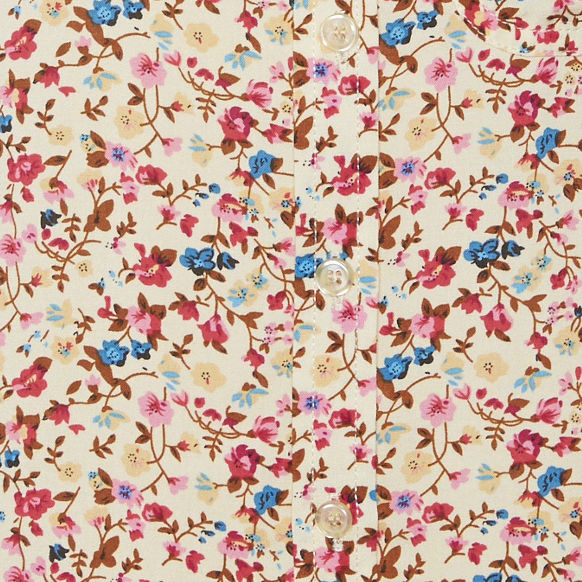 Ivory Multi