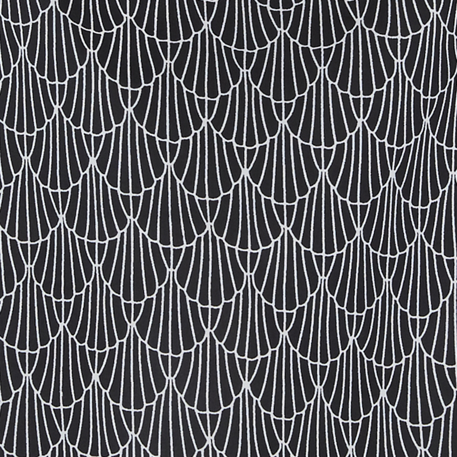 Black Multi