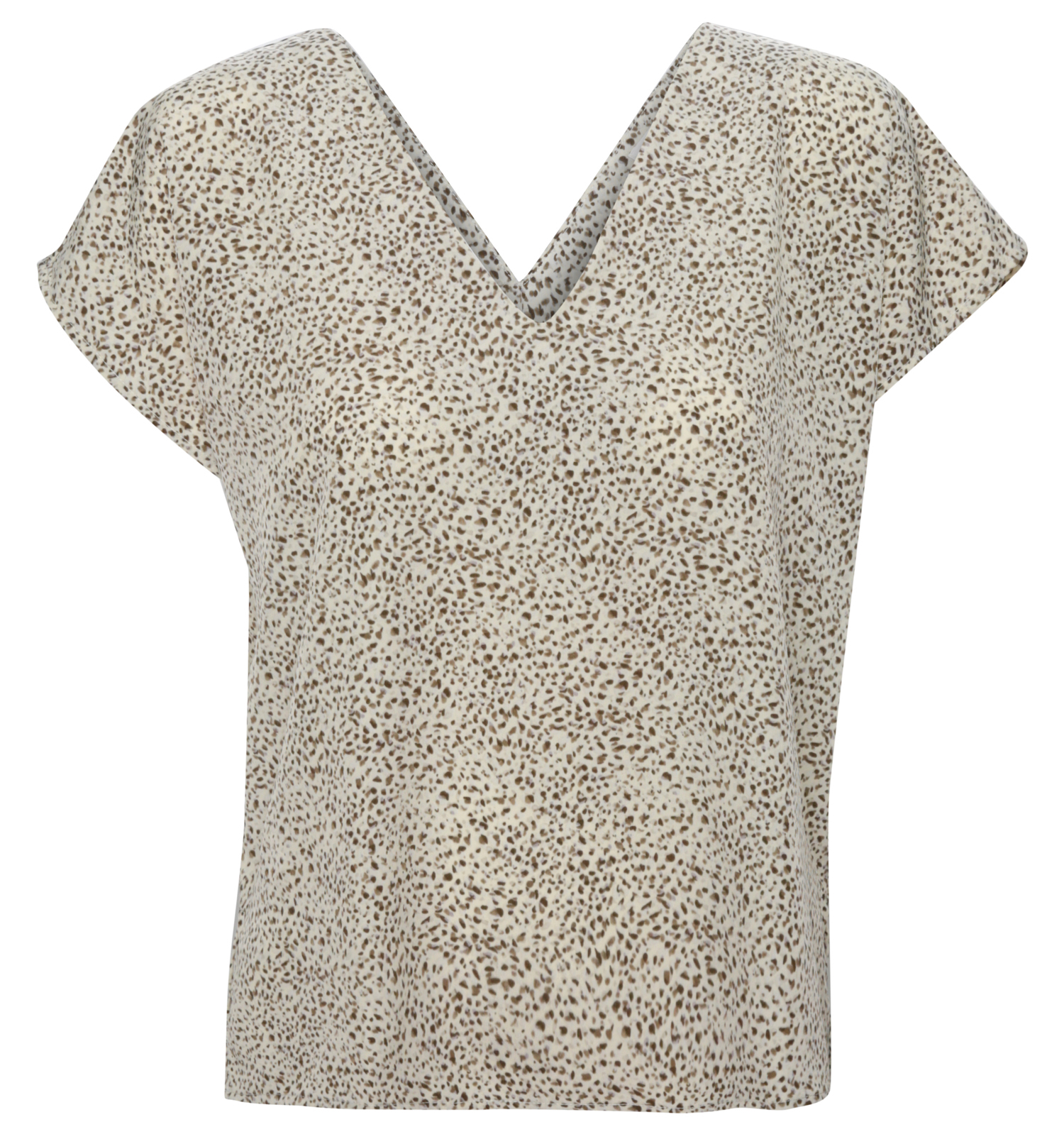Leopard Print V-Neck Top