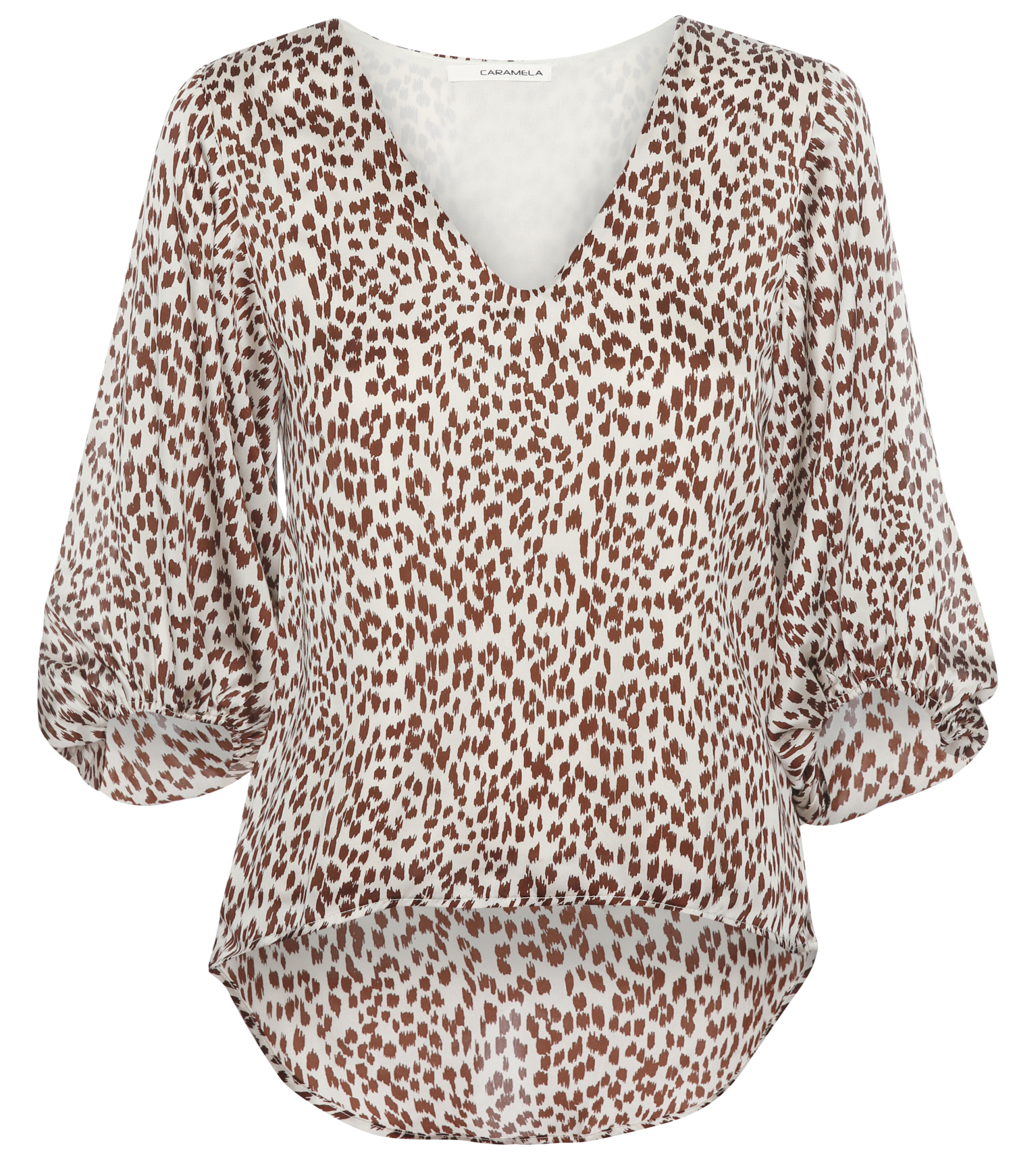 Leopard Printed Top