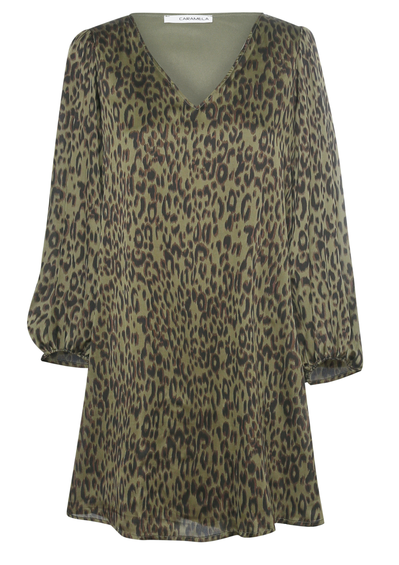 Leopard Print V-Neck Dress