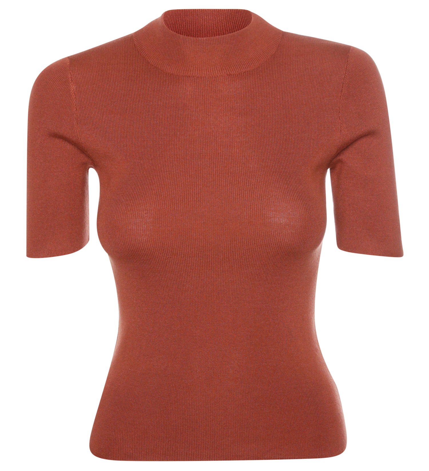 Mock Neck Short Sleeve knit top