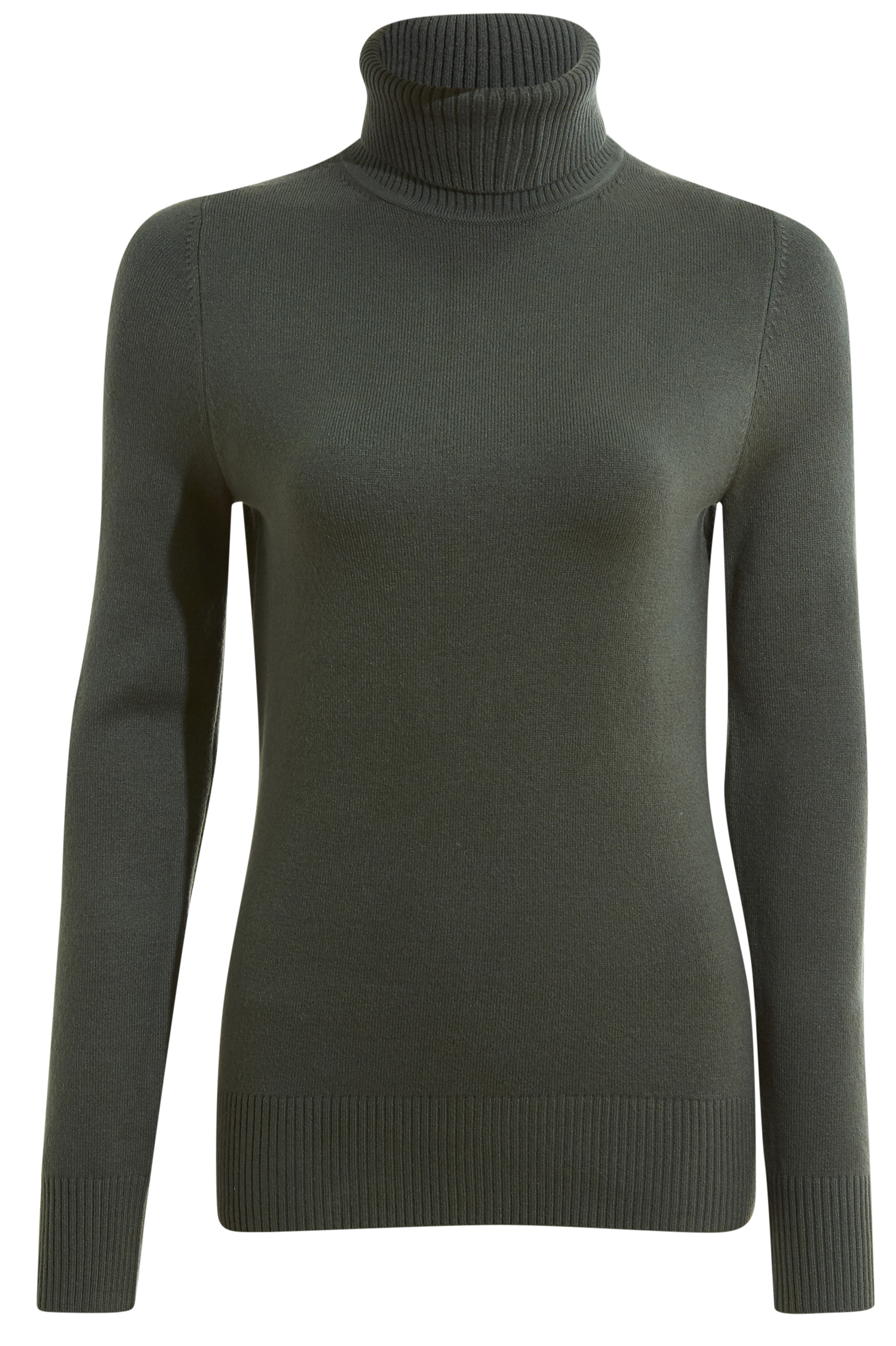 French Connection Fitted Turtleneck Top
