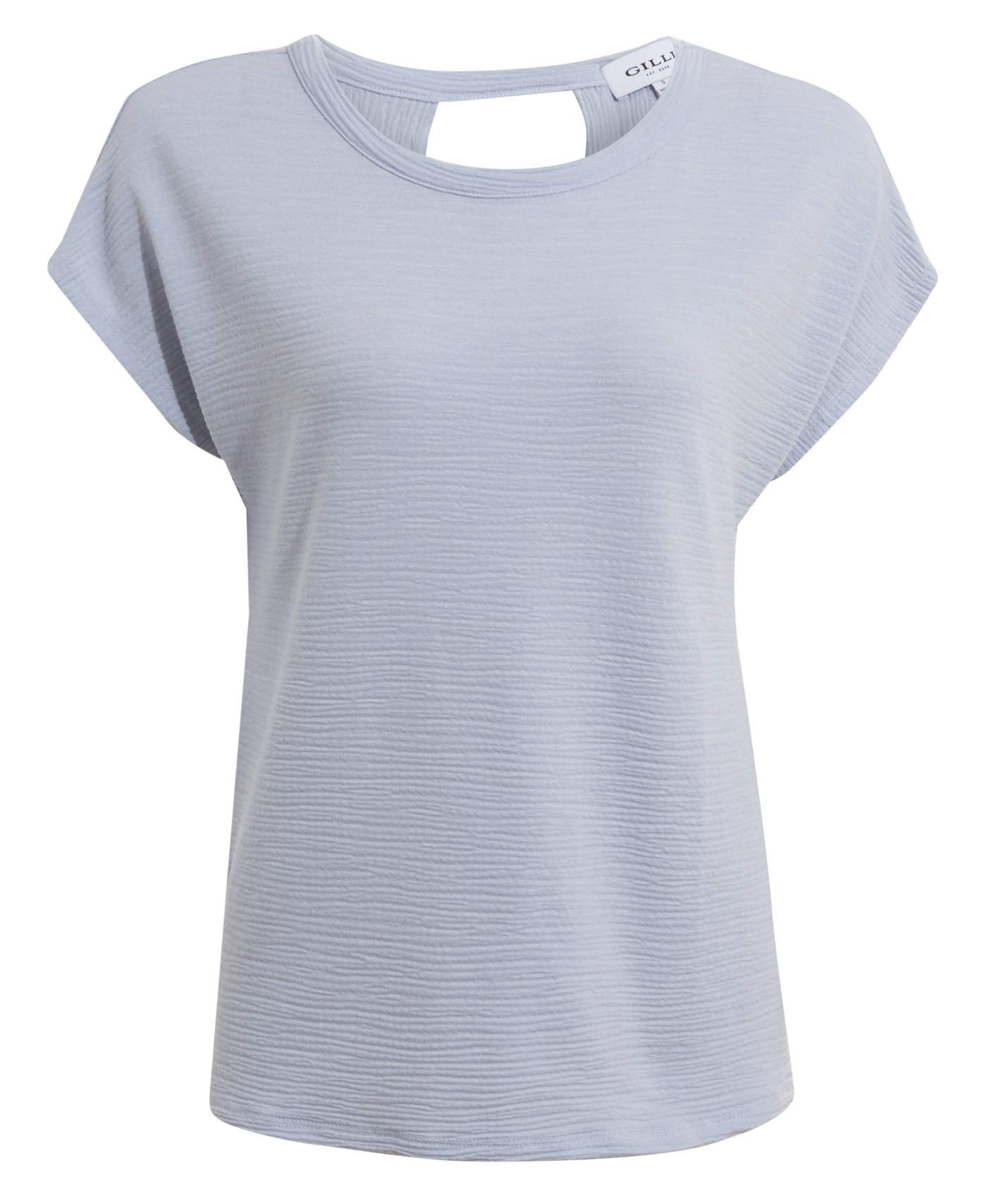 Short Sleeve Top with Back Over Lap