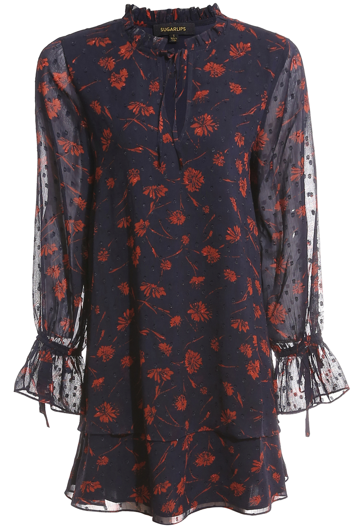 Swiss Dot Floral Print Mini Dress
