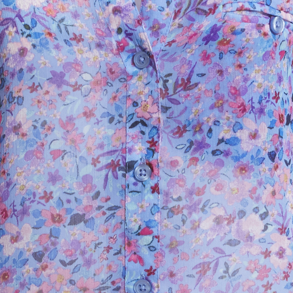 Blue/Purple