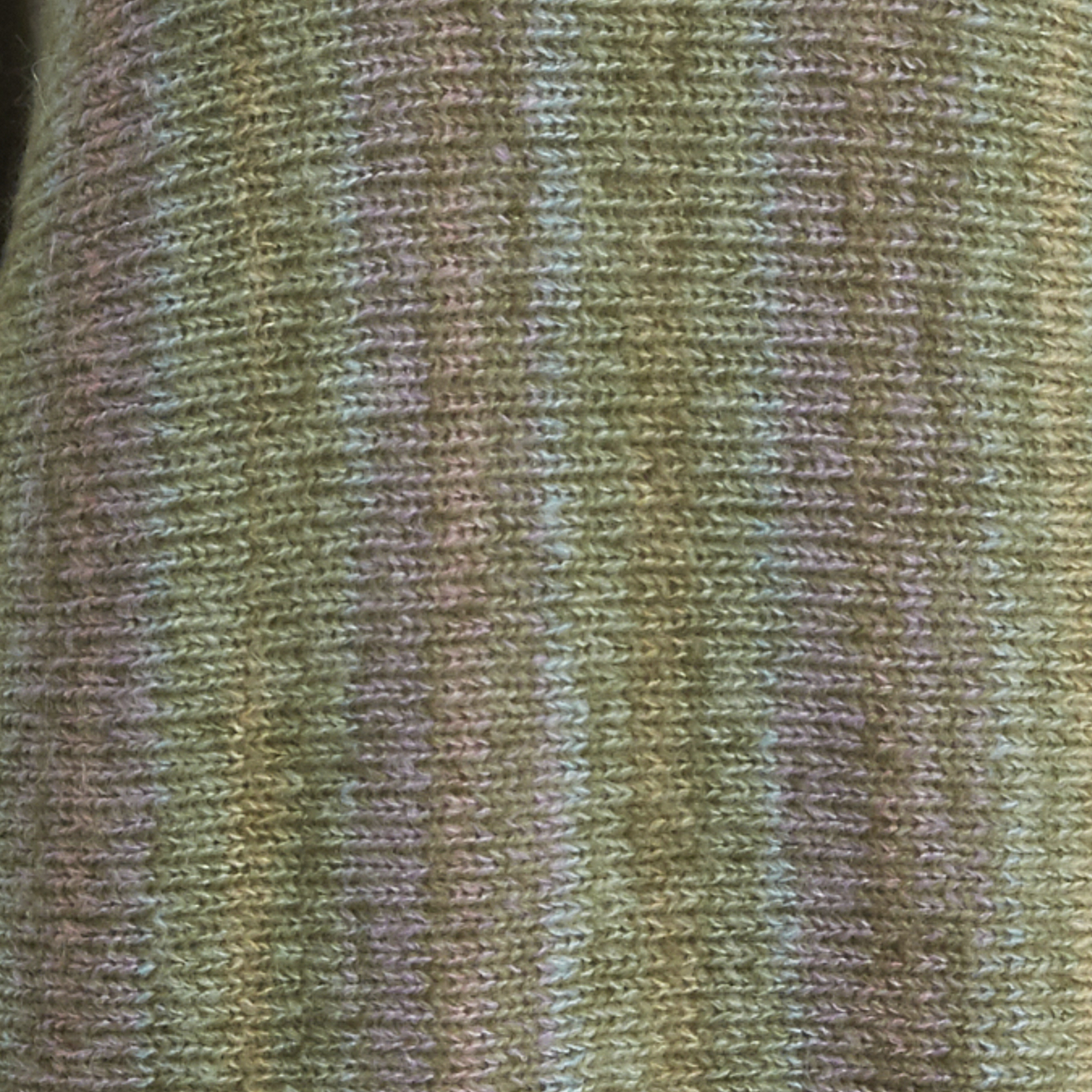 Olive Multi