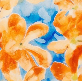 Orange Multi