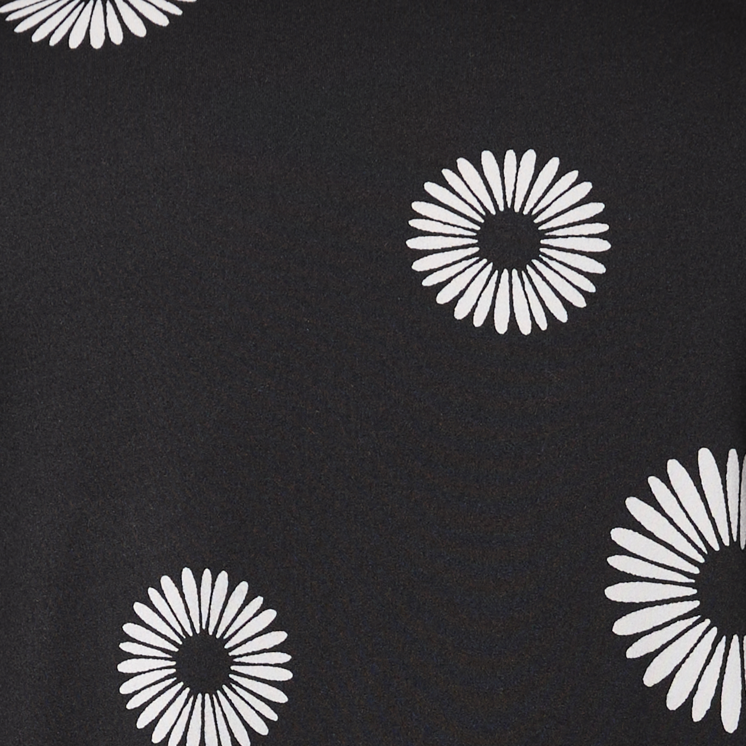 Black/Cream