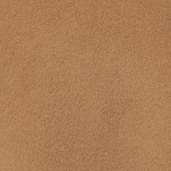 Camel Multi