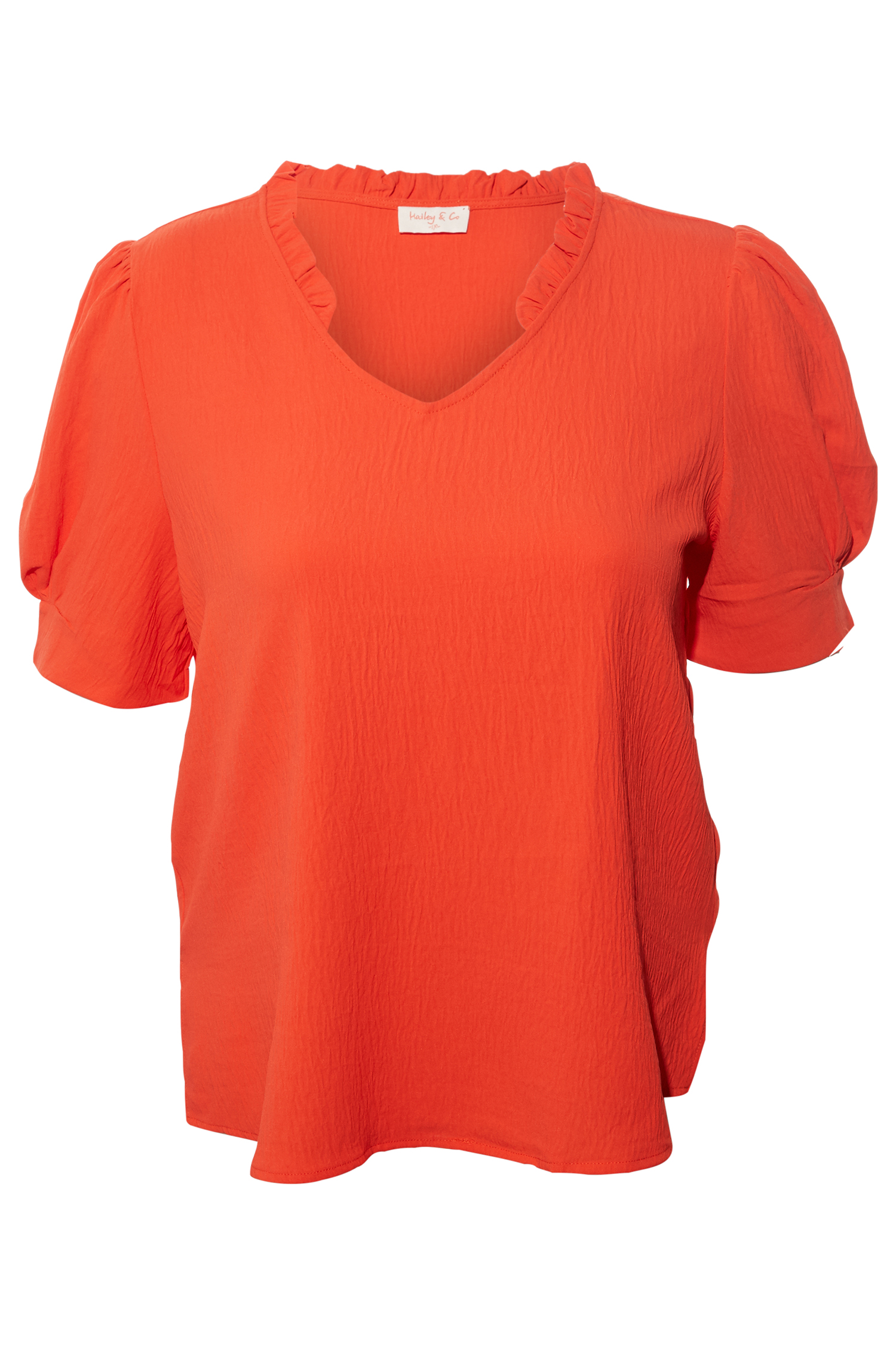 Ruffle Neck Puff Sleeve Blouse