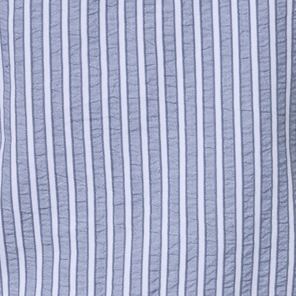 Blue/White