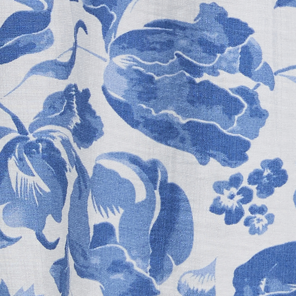 Blue/White