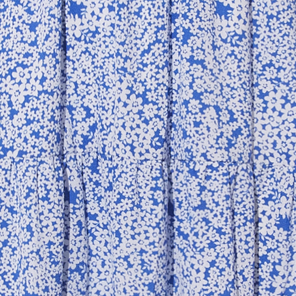 Blue/White
