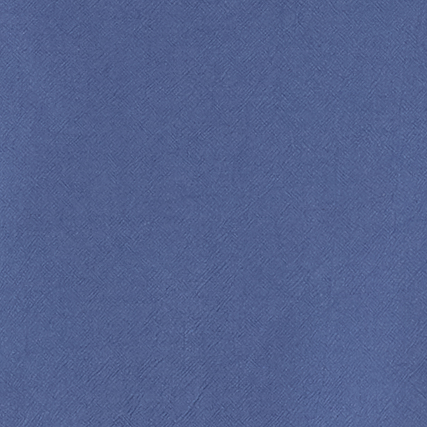 Denim Blue