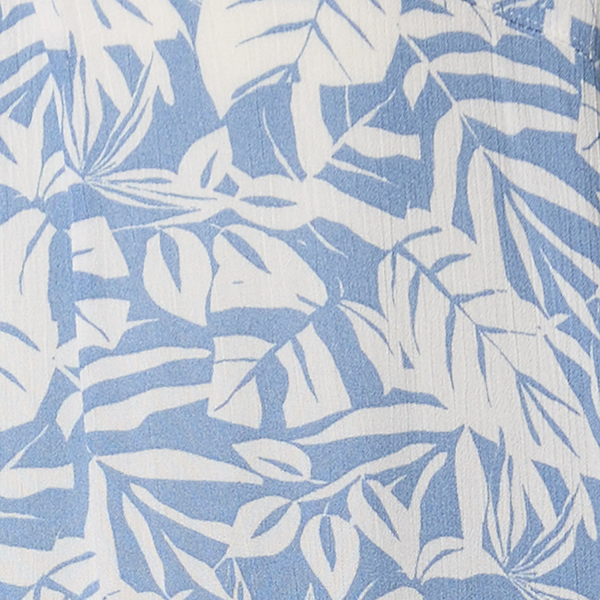 Blue/White