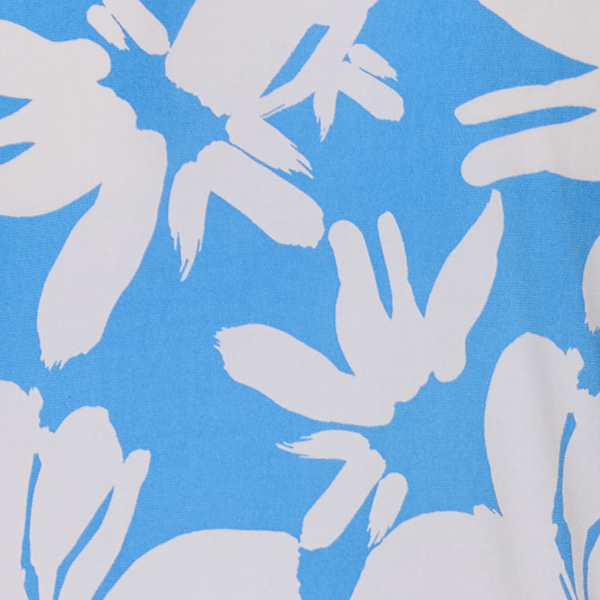 Blue/White