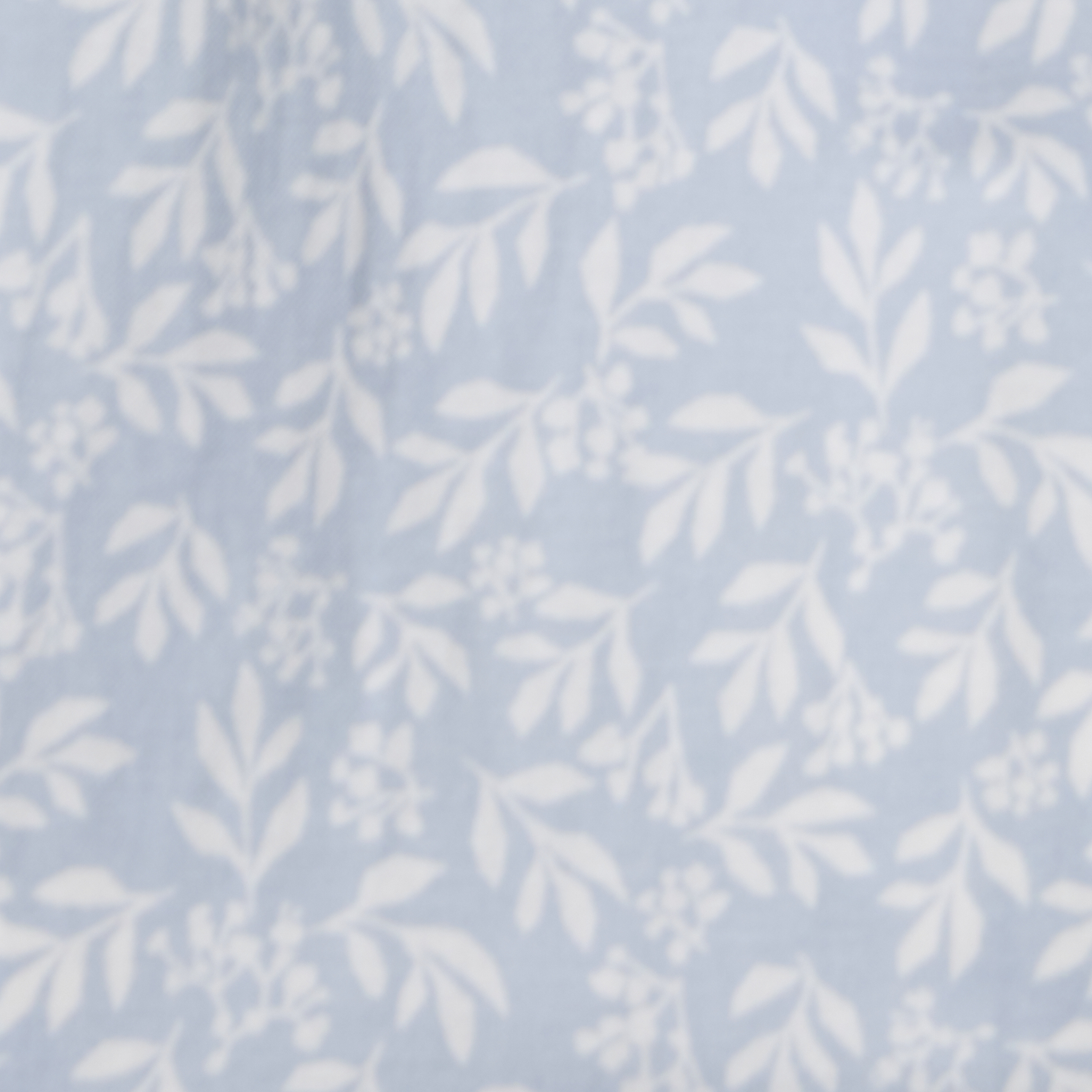 Light Blue/White