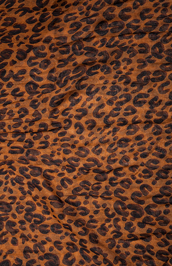 Cheetah Print Scarf in Brown | DAILYLOOK