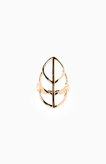 Leaf Cutout Ring Slide 1