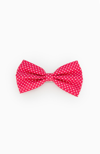 Polka Dot Bow Clips Slide 1