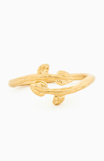 Twisted Branch Midi Ring Slide 1