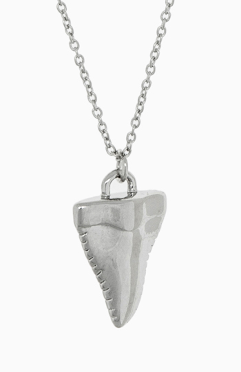 Shark Tooth Pendant Necklace Slide 1