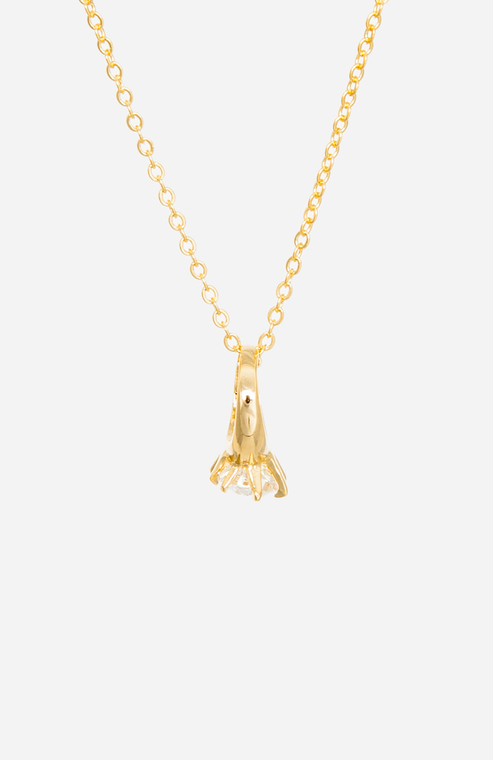 Ring Pendant Necklace in Gold DAILYLOOK
